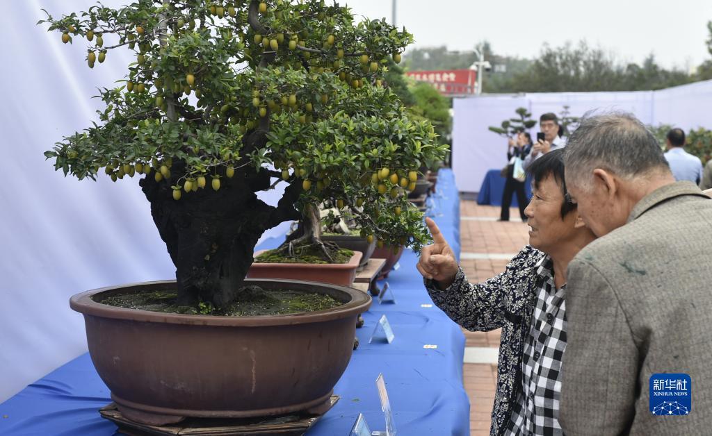 博悦平台登录客服